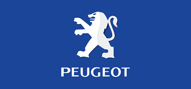 Peugeot X fight roller teile